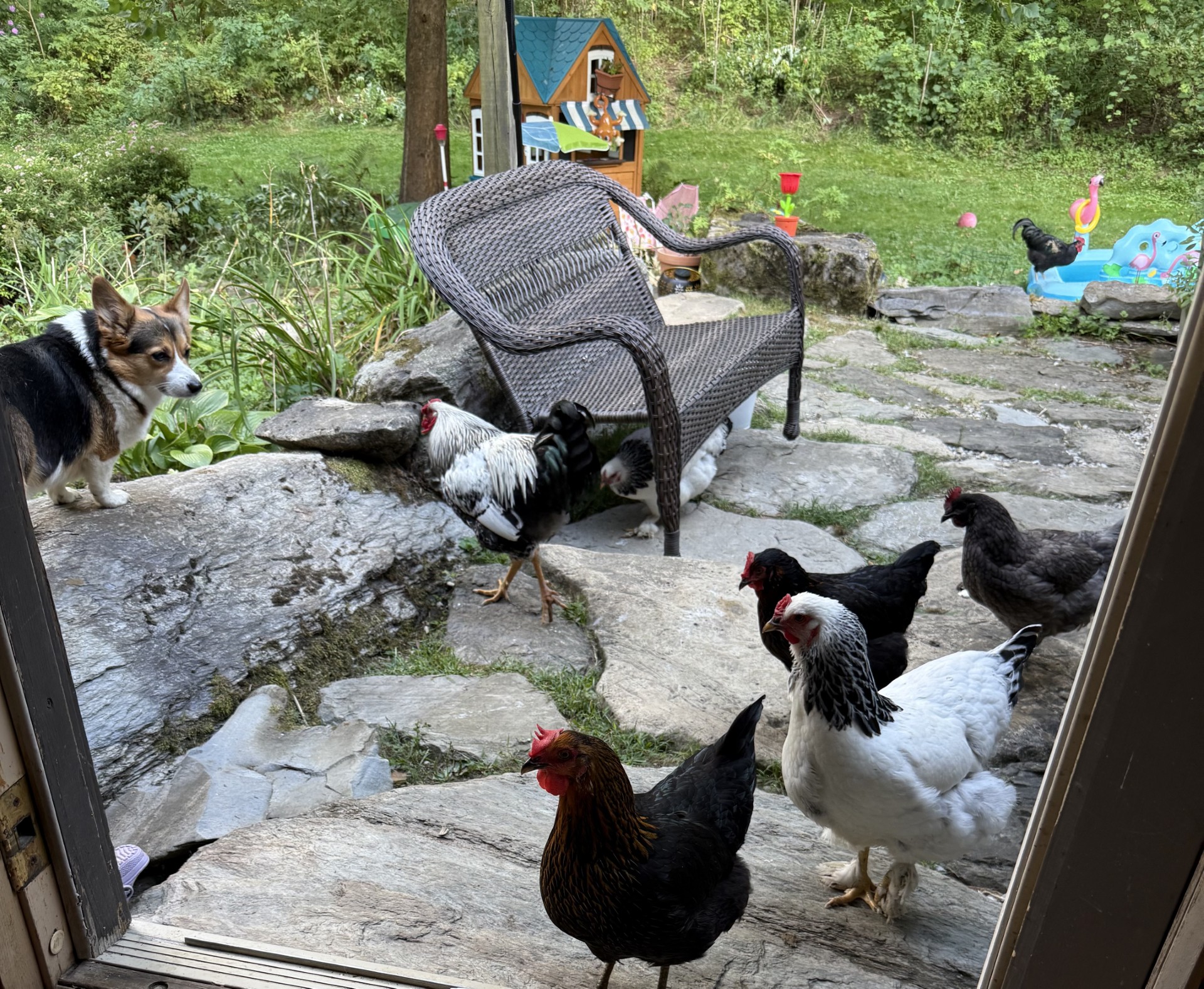 Some of the crew outside the door on the Keiter homestead